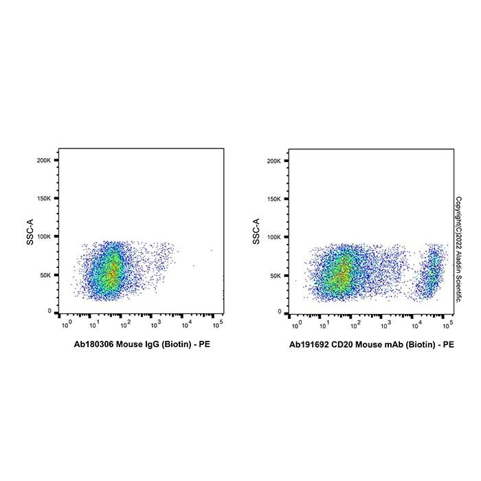 CD20 Mouse mAb (Biotin)