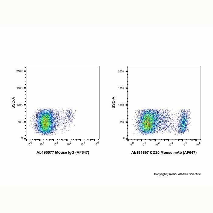 CD20 Mouse mAb (AF647)