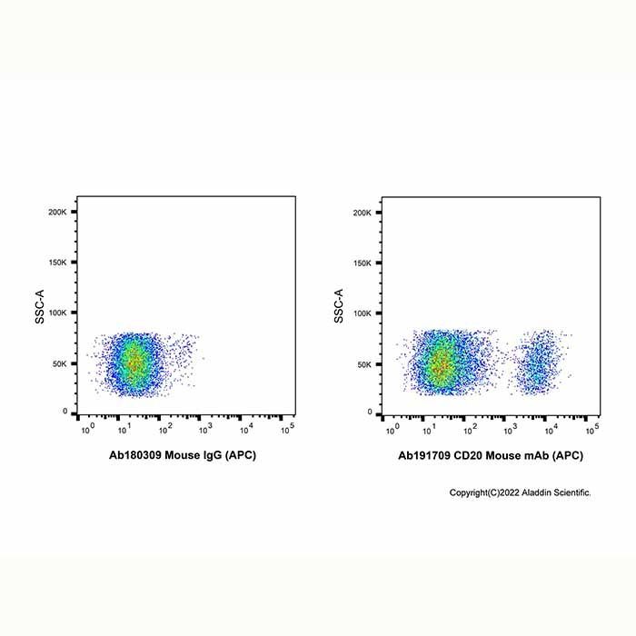 CD20 Mouse mAb (APC)