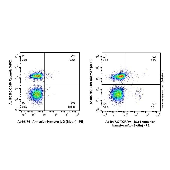 TCR Vγ1.1/Cr4 Armenian hamster mAb (Biotin)
