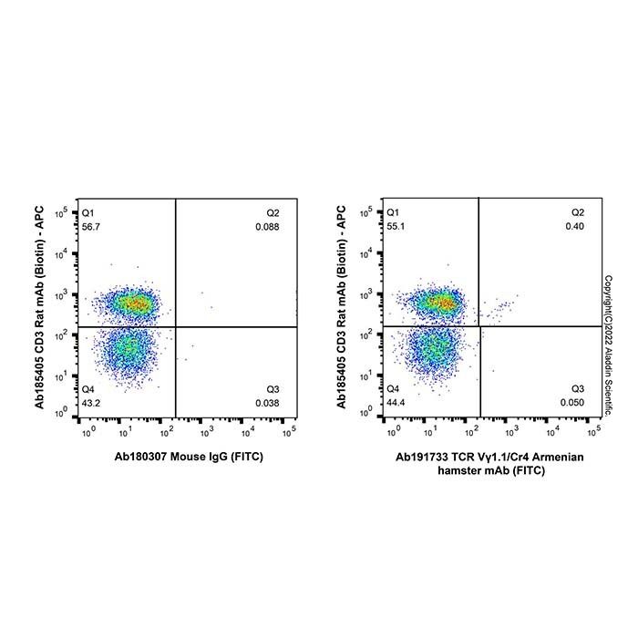 TCR Vγ1.1/Cr4 Armenian hamster mAb (FITC)