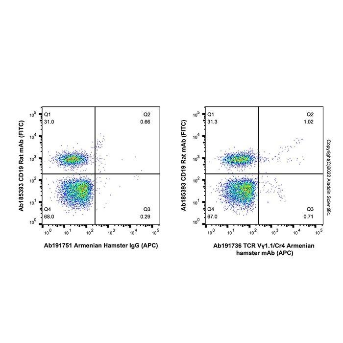 TCR Vγ1.1/Cr4 Armenian hamster mAb (APC)