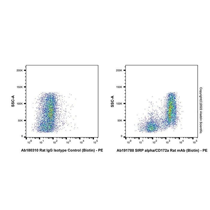 SIRP alpha/CD172a Rat mAb (Biotin)