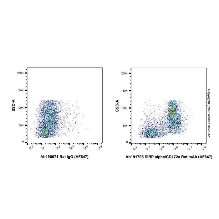 SIRP alpha/CD172a Rat mAb (AF647)