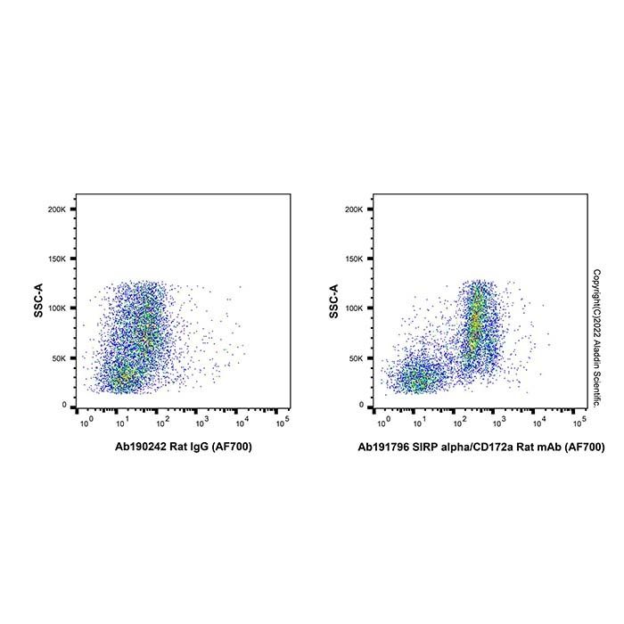 SIRP alpha/CD172a Rat mAb (AF700)
