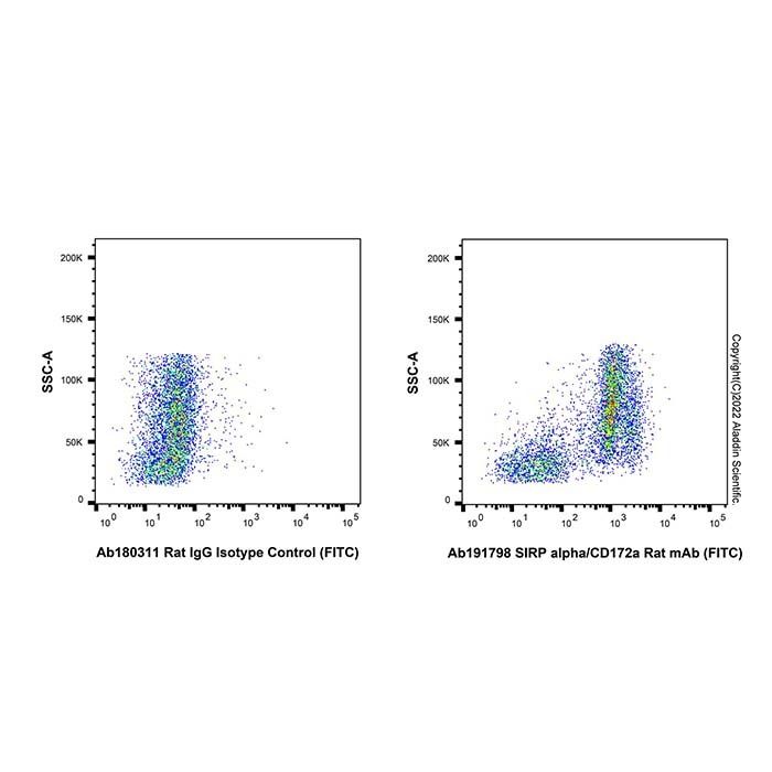 SIRP alpha/CD172a Rat mAb (FITC)