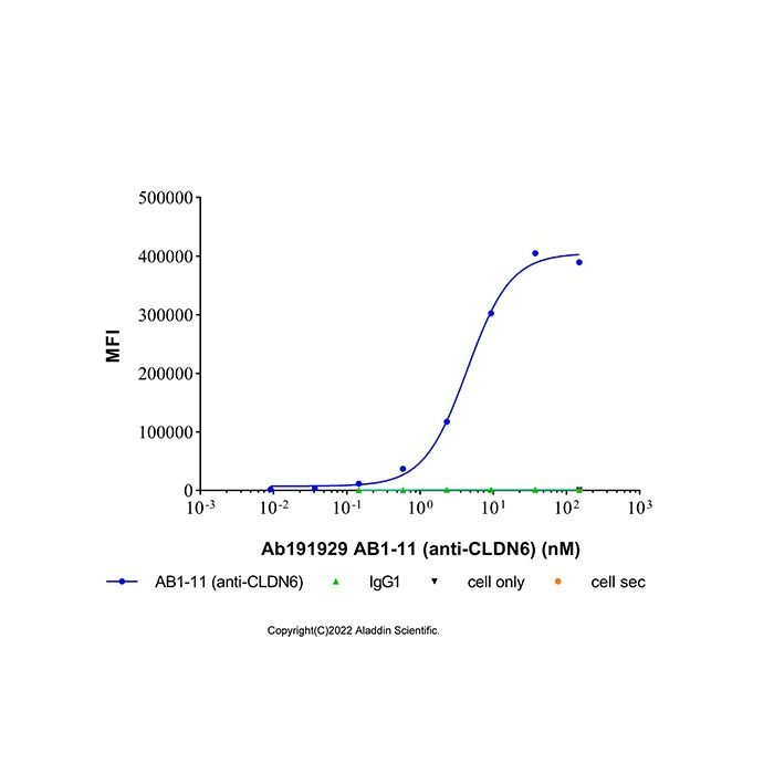 AB1-11 (anti-CLDN6)