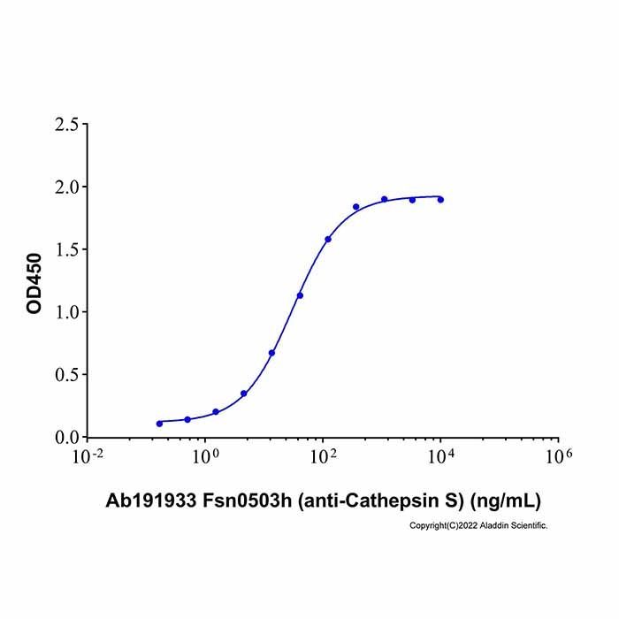 Fsn0503h (anti-Cathepsin S)