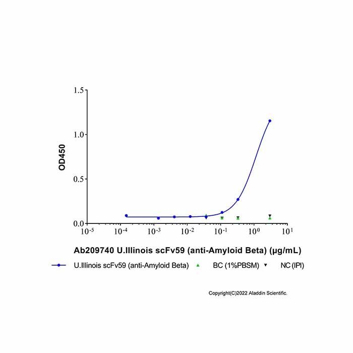 U.Illinois scFv59 (anti-Amyloid Beta)