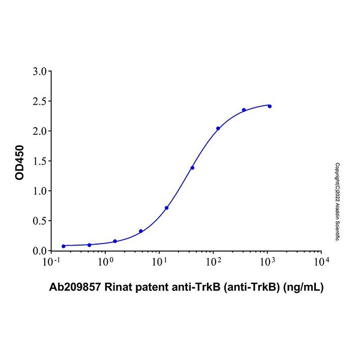 Rinat patent anti-TrkB (anti-TrkB)
