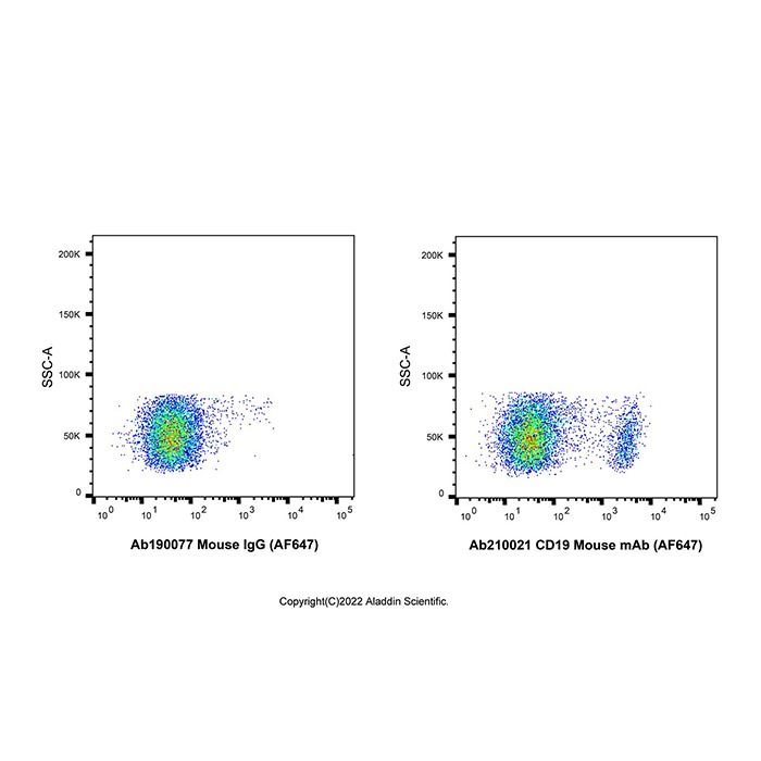 CD19 Mouse mAb (AF647)