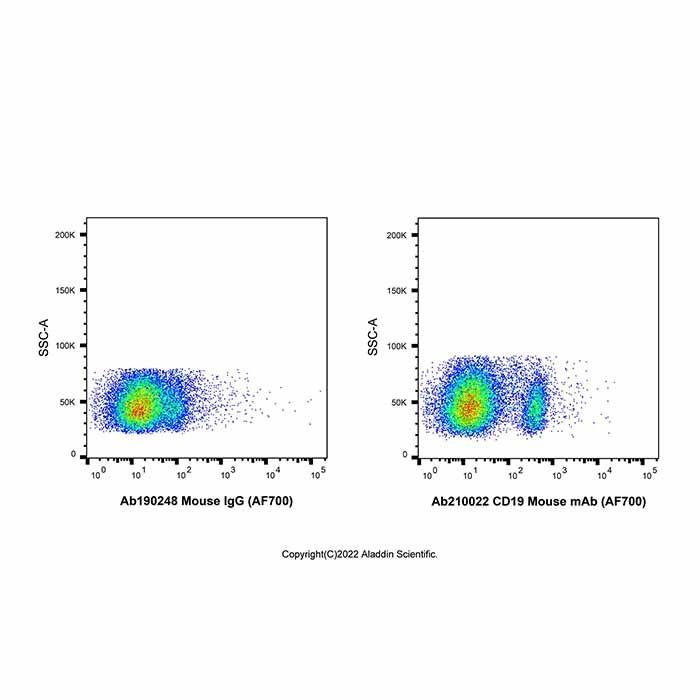 CD19 Mouse mAb (AF700)