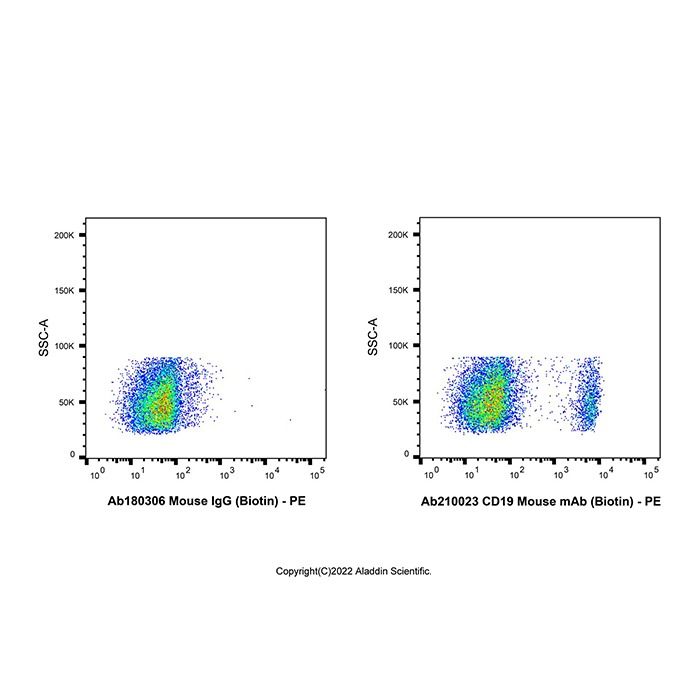 CD19 Mouse mAb (Biotin)