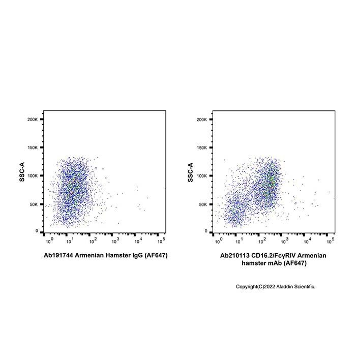 CD16.2/FcγRIV Armenian hamster mAb (AF647)