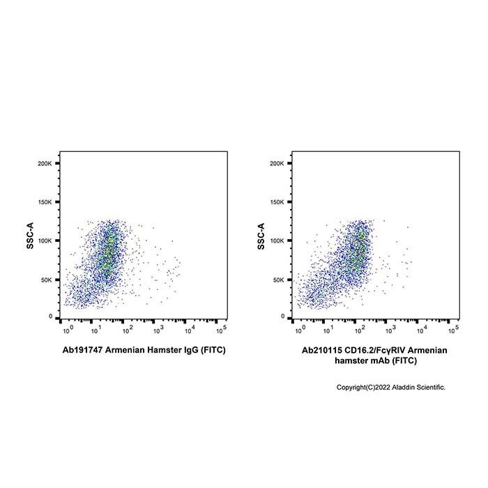 CD16.2/FcγRIV Armenian hamster mAb (FITC)