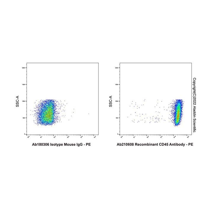 Recombinant CD45 Antibody