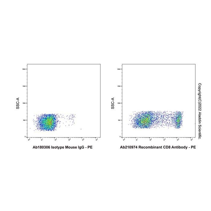 Recombinant CD8 Antibody