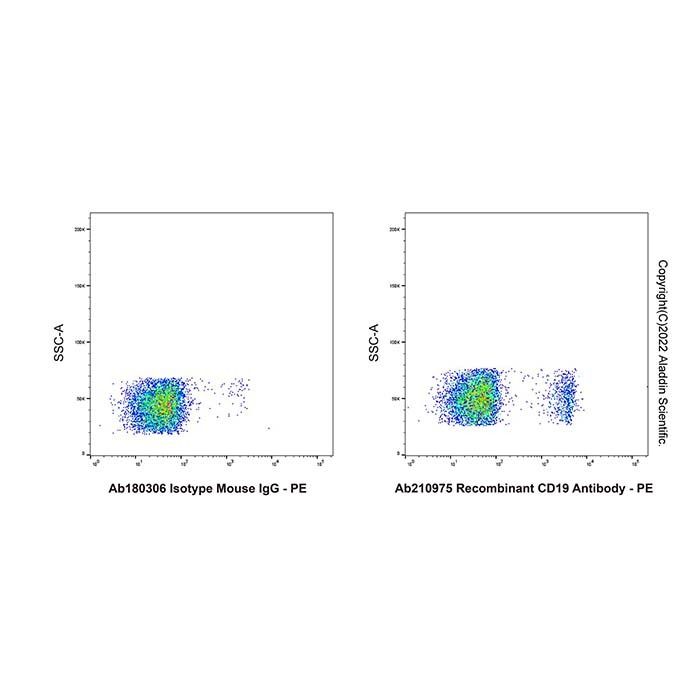 Recombinant CD19 Antibody