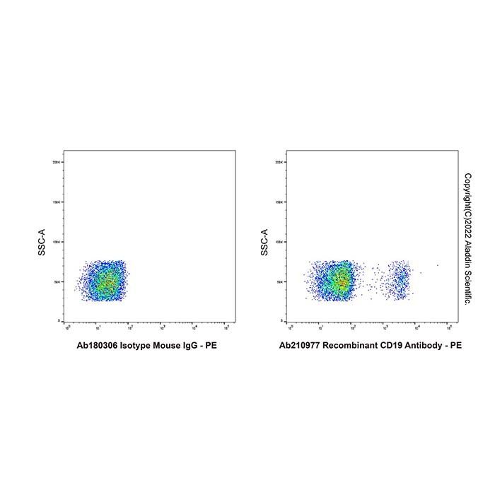 Recombinant CD19 Antibody