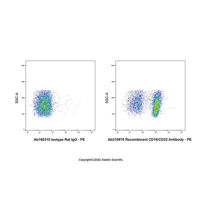 Recombinant CD16/CD32 Antibody