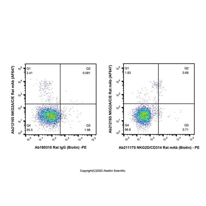 NKG2D/CD314 Rat mAb (Biotin)