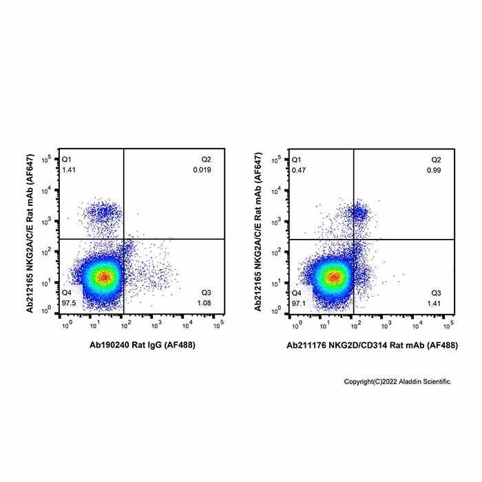 NKG2D/CD314 Rat mAb (AF488)