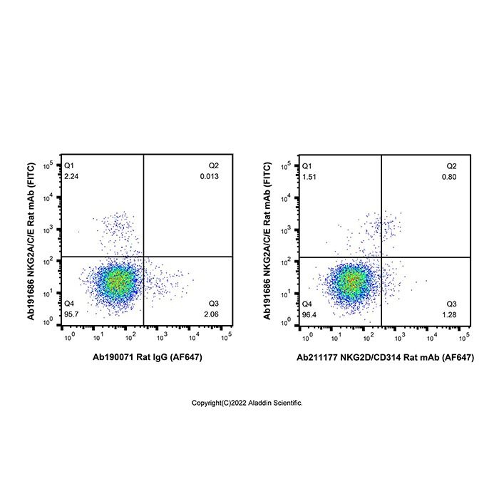 NKG2D/CD314 Rat mAb (AF647)