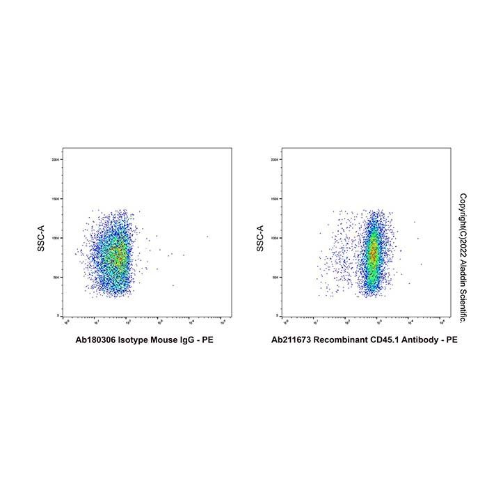 Recombinant CD45.1 Antibody