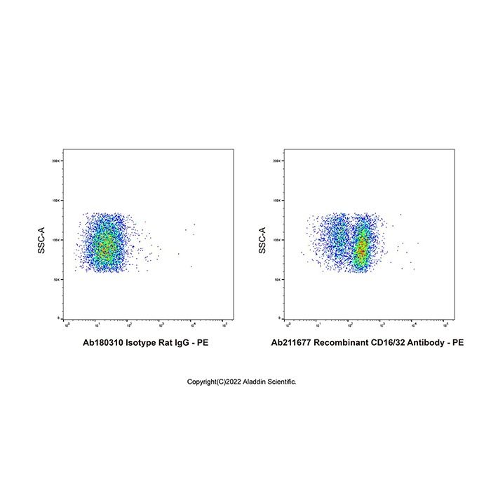 Recombinant CD16/CD32 Antibody