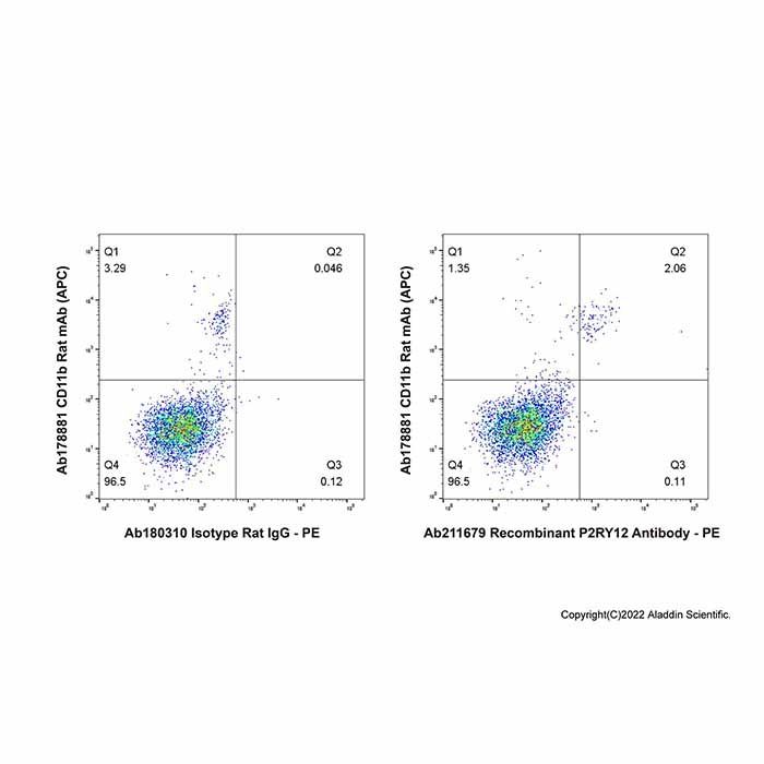 Recombinant P2RY12 Antibody