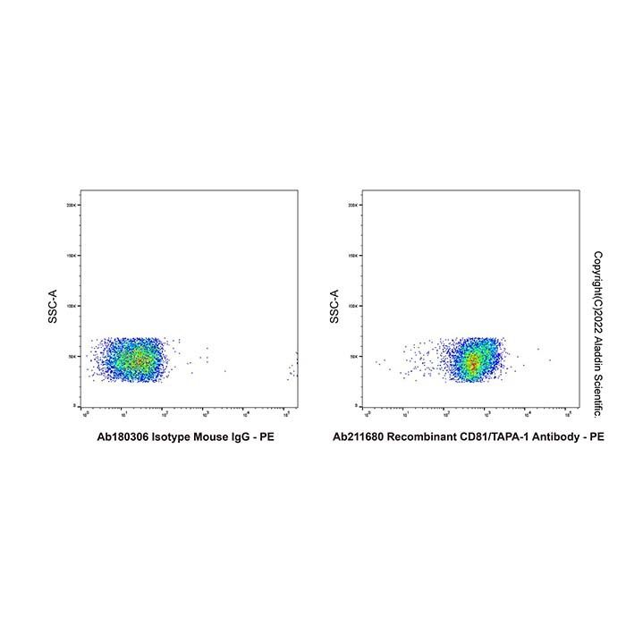 Recombinant CD81/TAPA-1 Antibody