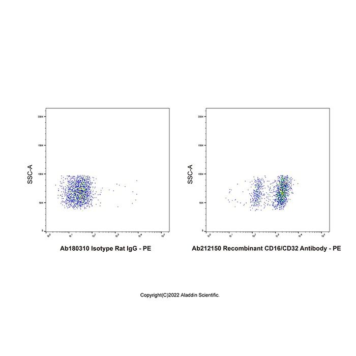 Recombinant CD16/CD32 Antibody