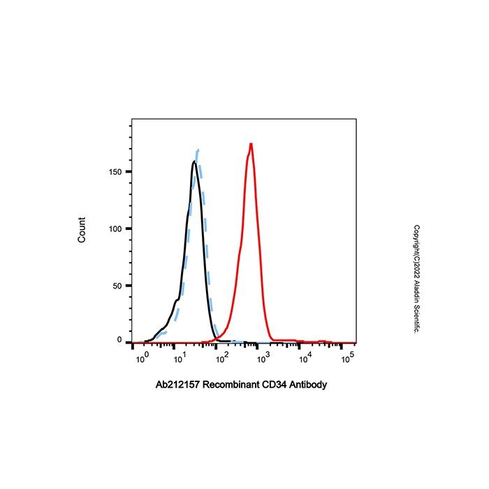 Recombinant CD34 Antibody