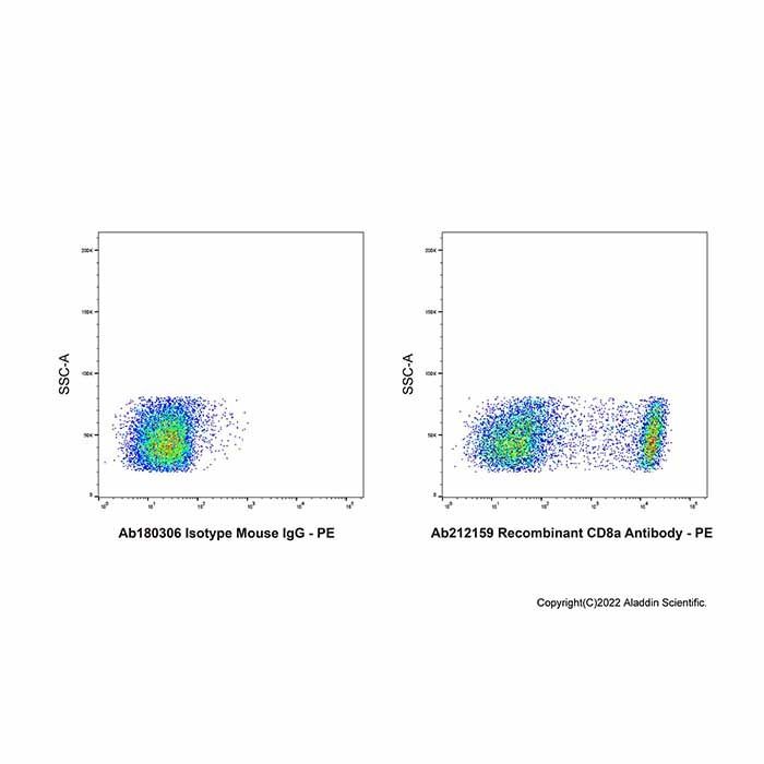 Recombinant CD8a Antibody