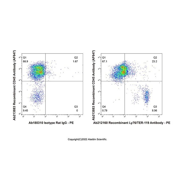 Recombinant Ly76/TER-119 Antibody