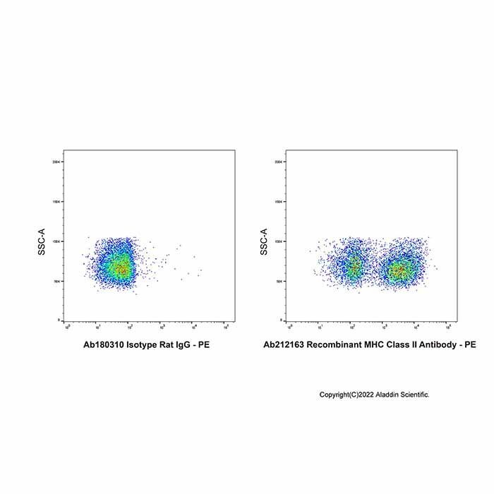 Recombinant MHC Class II Antibody
