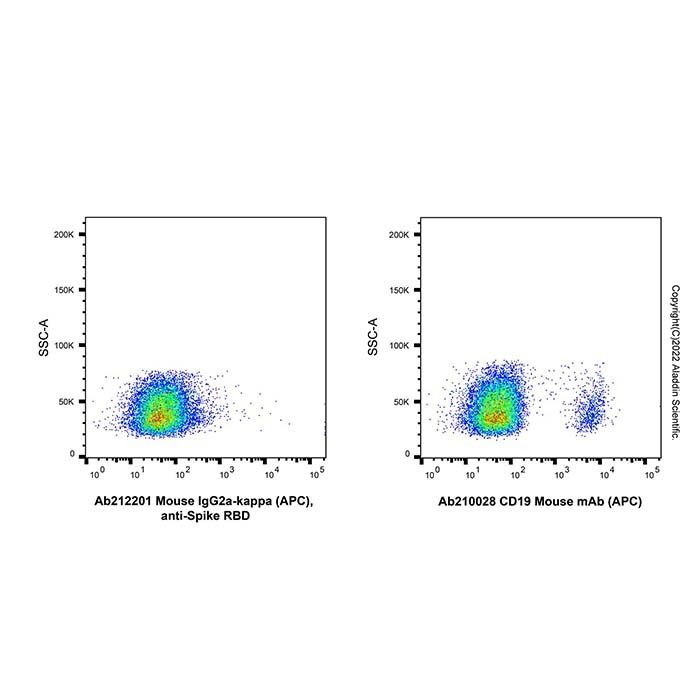 Mouse IgG2a-kappa (APC), anti-Spike RBD