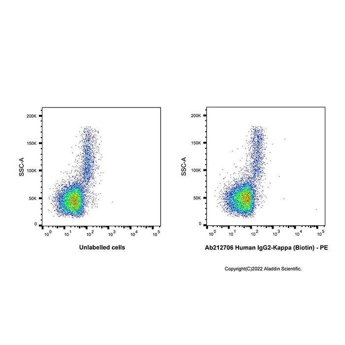 Human IgG2-Kappa (Biotin)