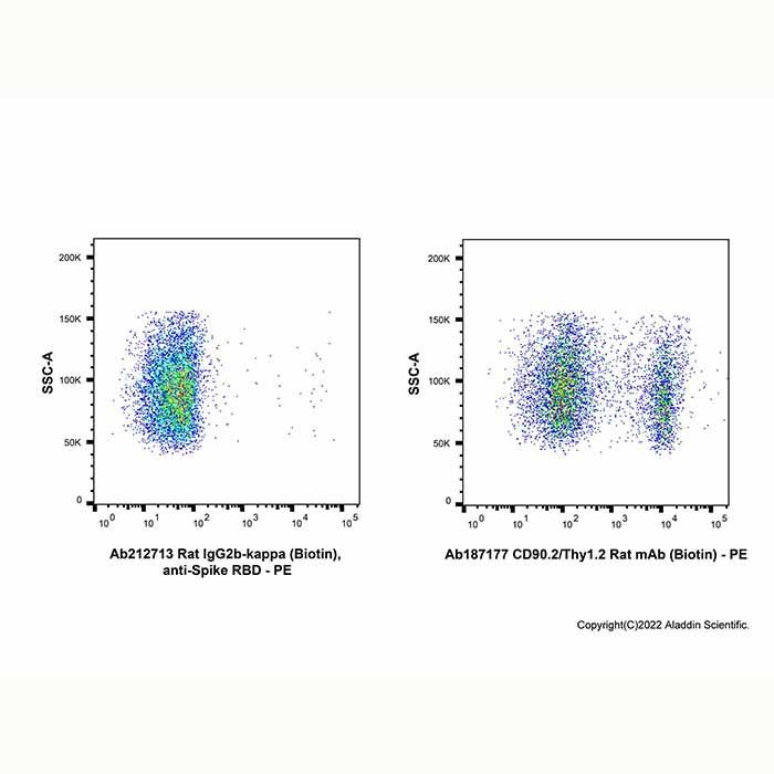 Rat IgG2b-kappa (Biotin), anti-Spike RBD
