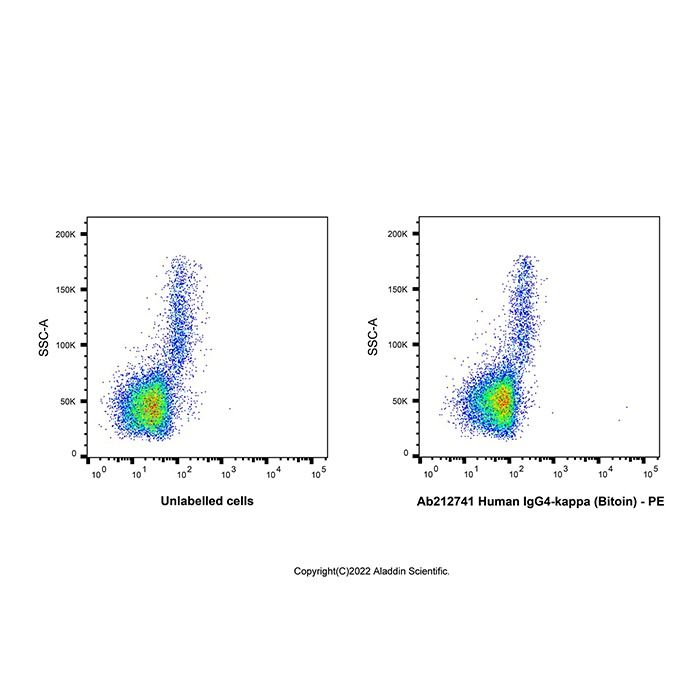 Human IgG4-kappa (Bitoin)