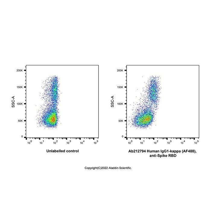 Human IgG1-kappa (AF488), anti-Spike RBD