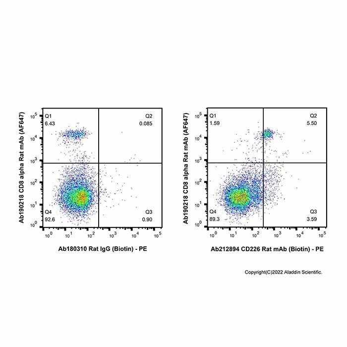 CD226 Rat mAb (Biotin)