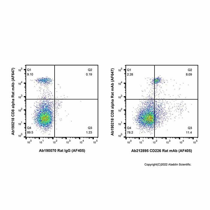 CD226 Rat mAb (AF405)