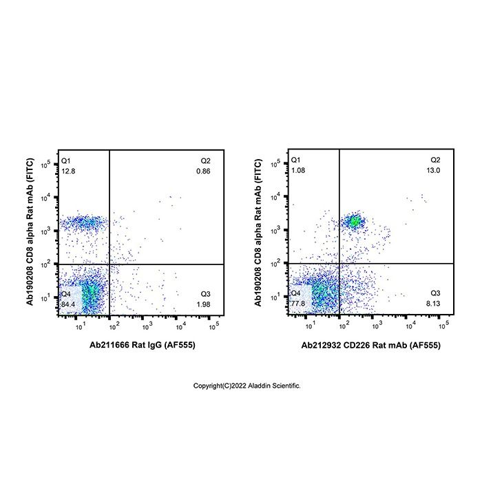 CD226 Rat mAb (AF555)