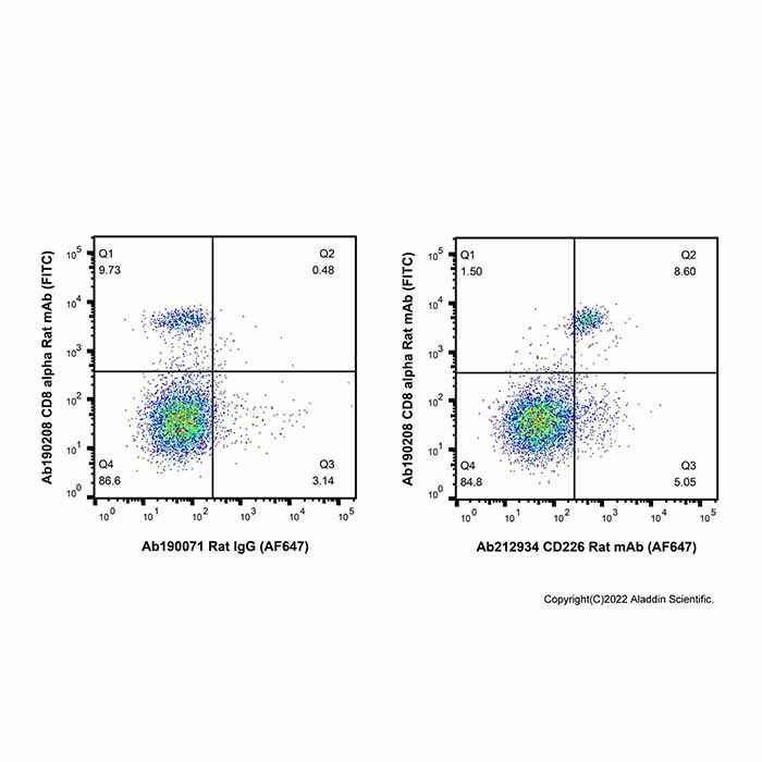 CD226 Rat mAb (AF647)