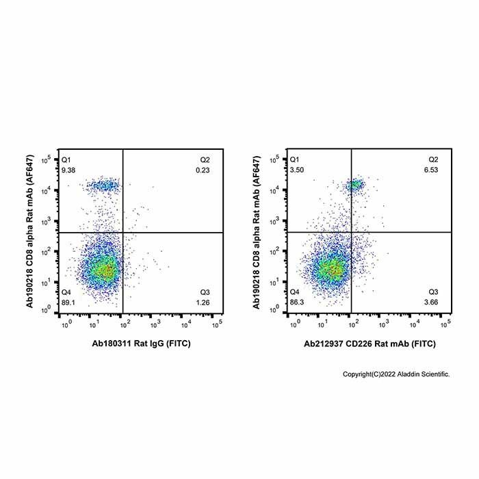 CD226 Rat mAb (FITC)