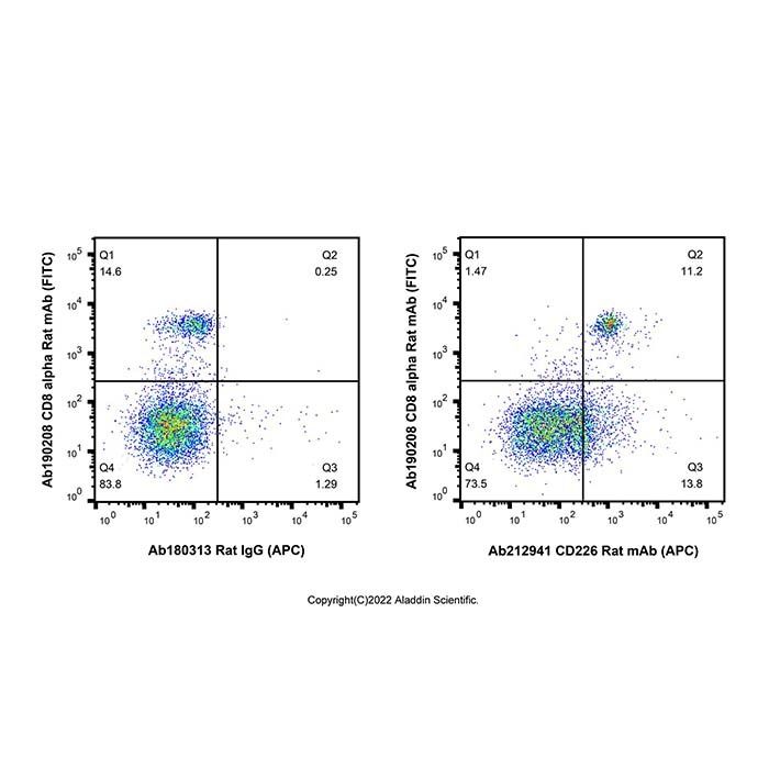 CD226 Rat mAb (APC)