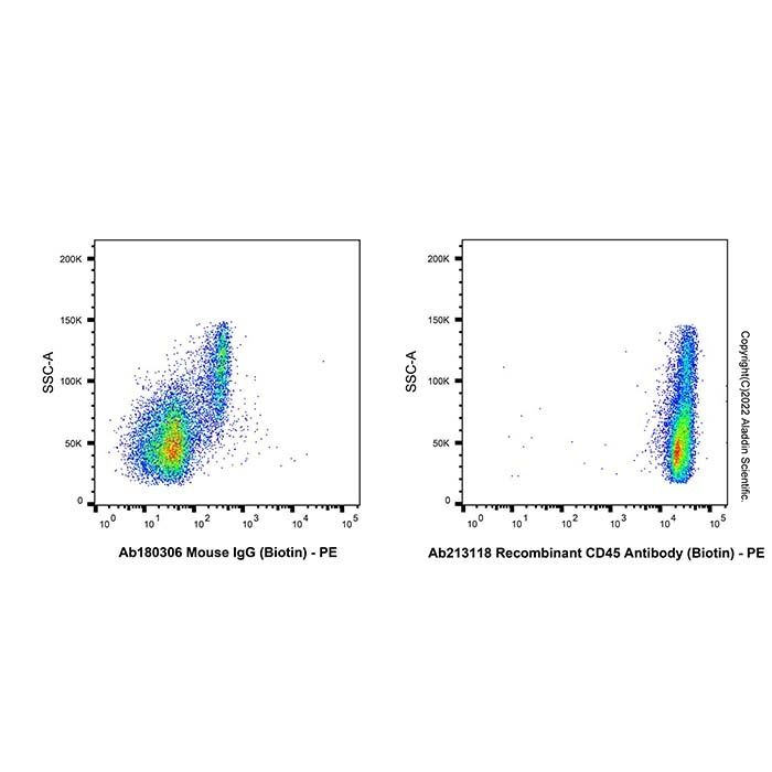 Recombinant CD45 Antibody (Biotin)