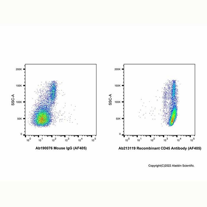 Recombinant CD45 Antibody (AF405)