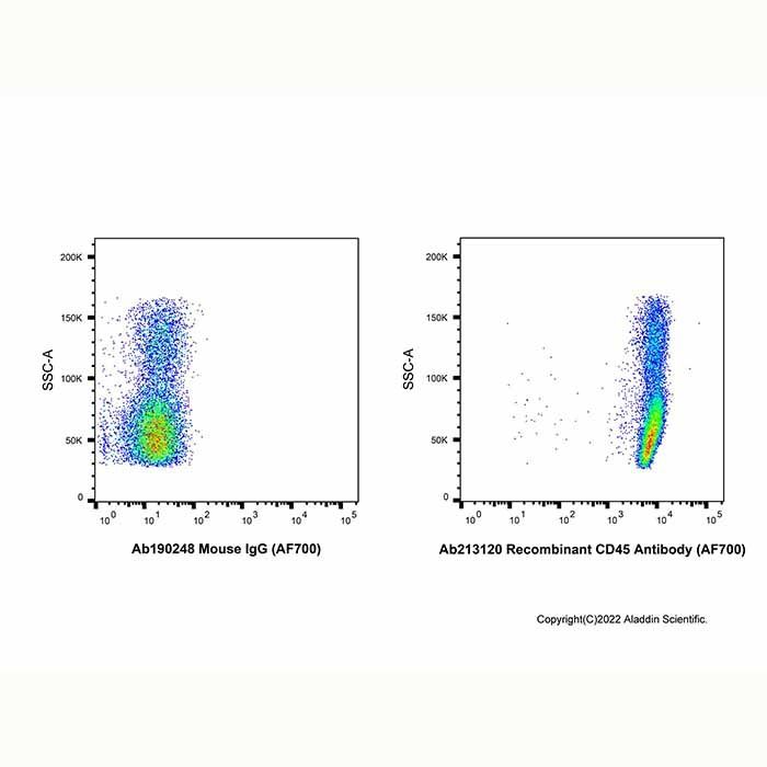 Recombinant CD45 Antibody (AF700)